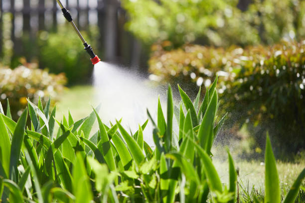 24/7 Emergency Cockroach Control experts in Ahoskie, NC