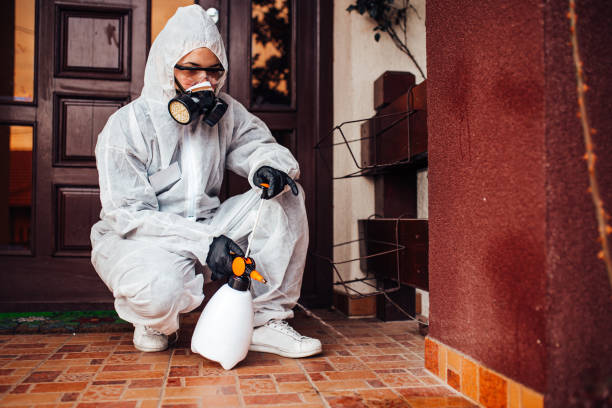 Reliable Cockroach Control contractor in Ahoskie, NC by Nex Pest Control