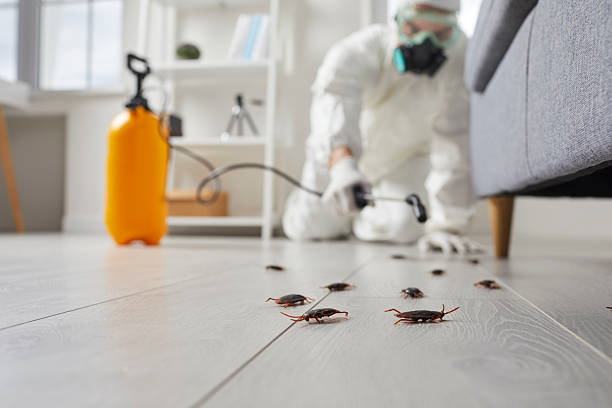 Trusted Rodent Control service in Ahoskie, NC - Nex Pest Control