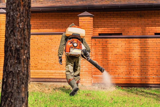 Trusted Emergency Pest Control service in Ahoskie, NC - Nex Pest Control